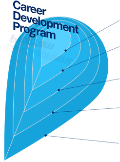 Career Development Program